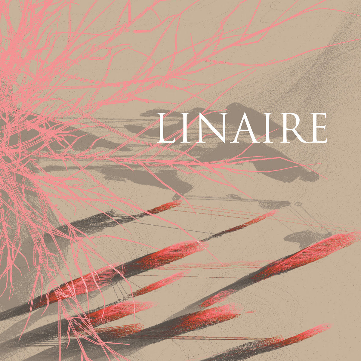 Linaire – Linaire