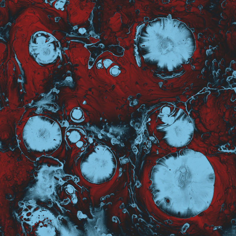 The Black Queen – Infinite Games