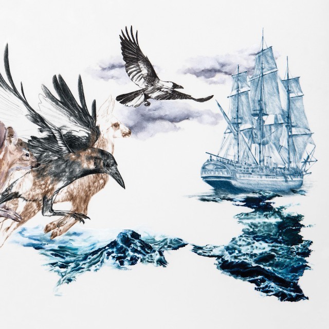 Do Make Say Think – Stubborn Persistent Illusions