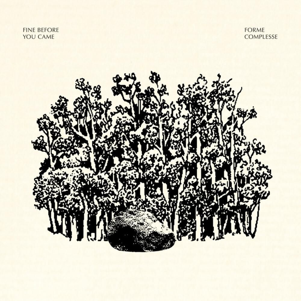 Fine Before You Came – Forme Complesse