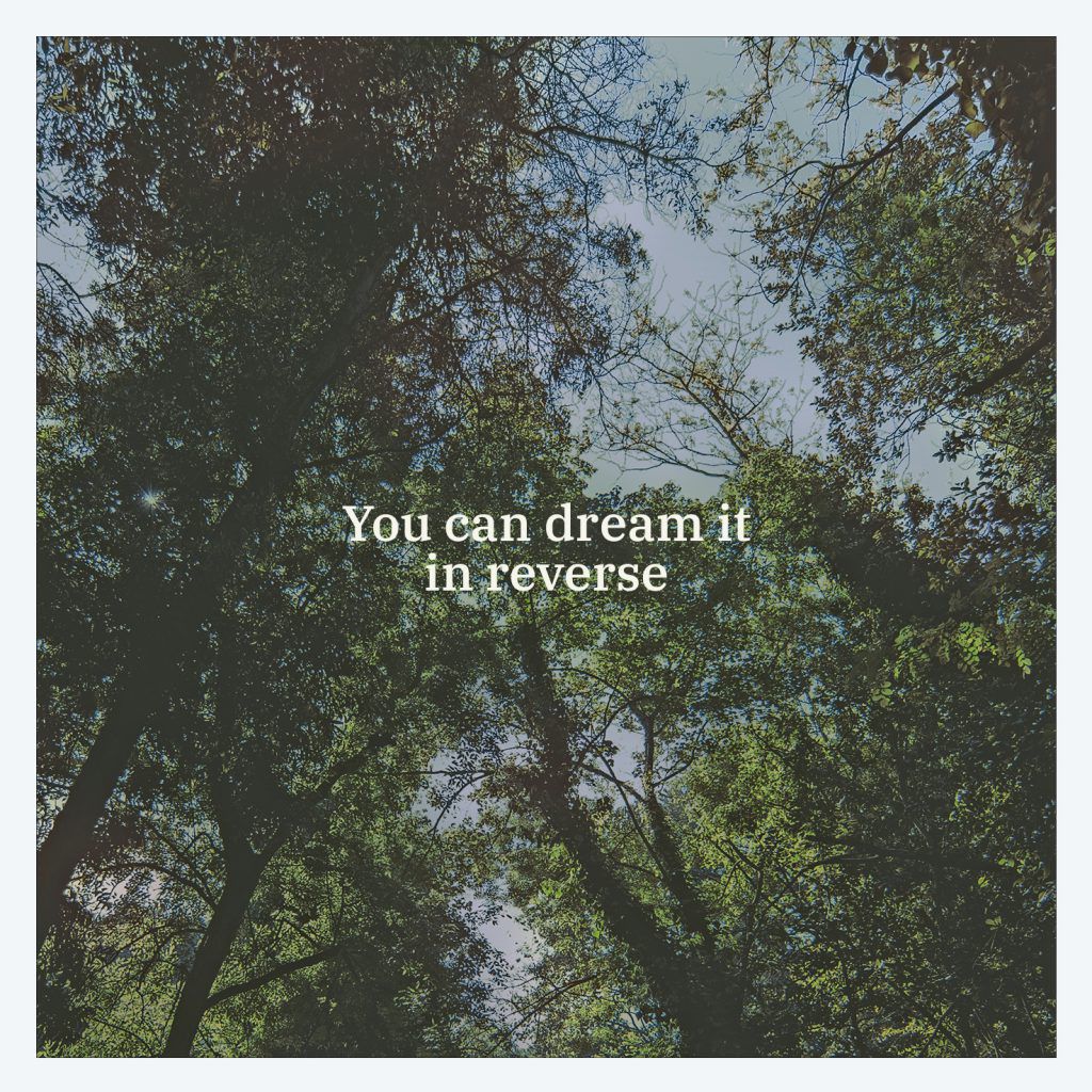 Black Tail – You Can Dream It In Reverse