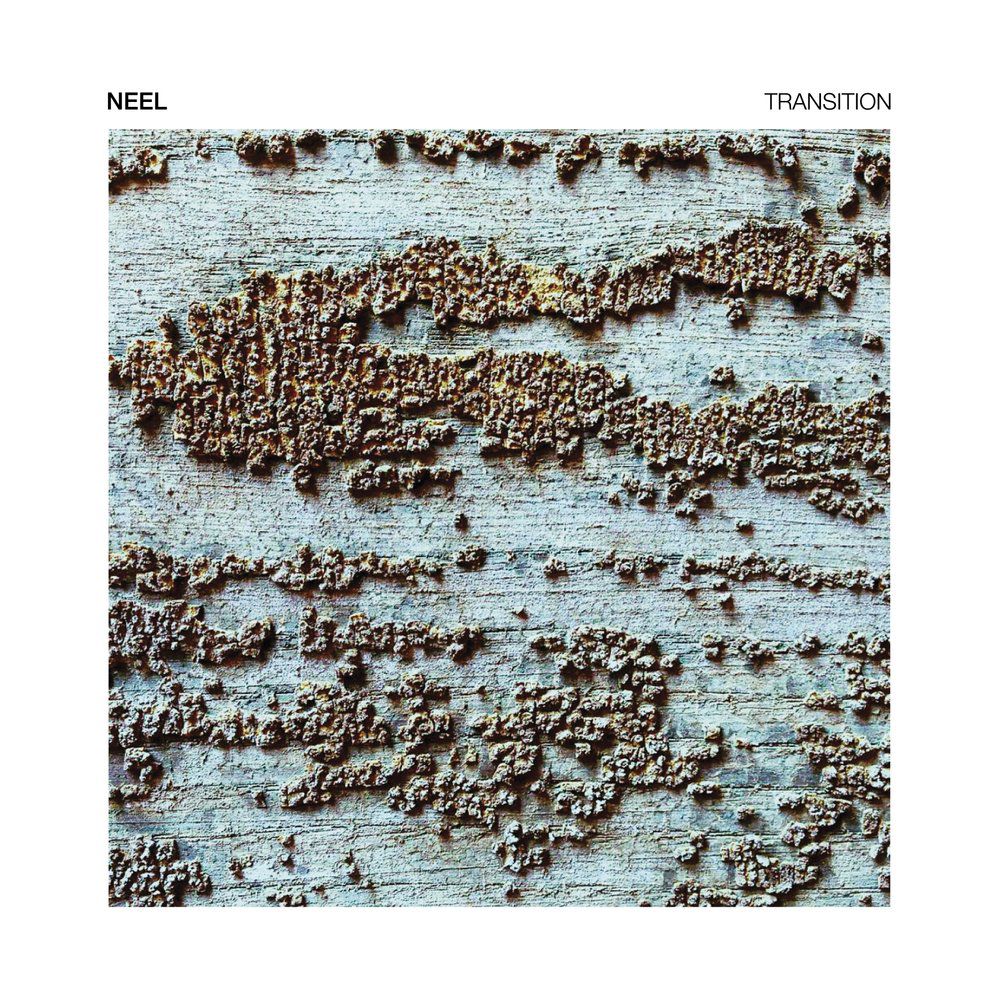 Neel – Transition