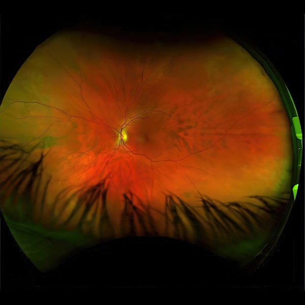 Greg Puciato – Mirrorcell