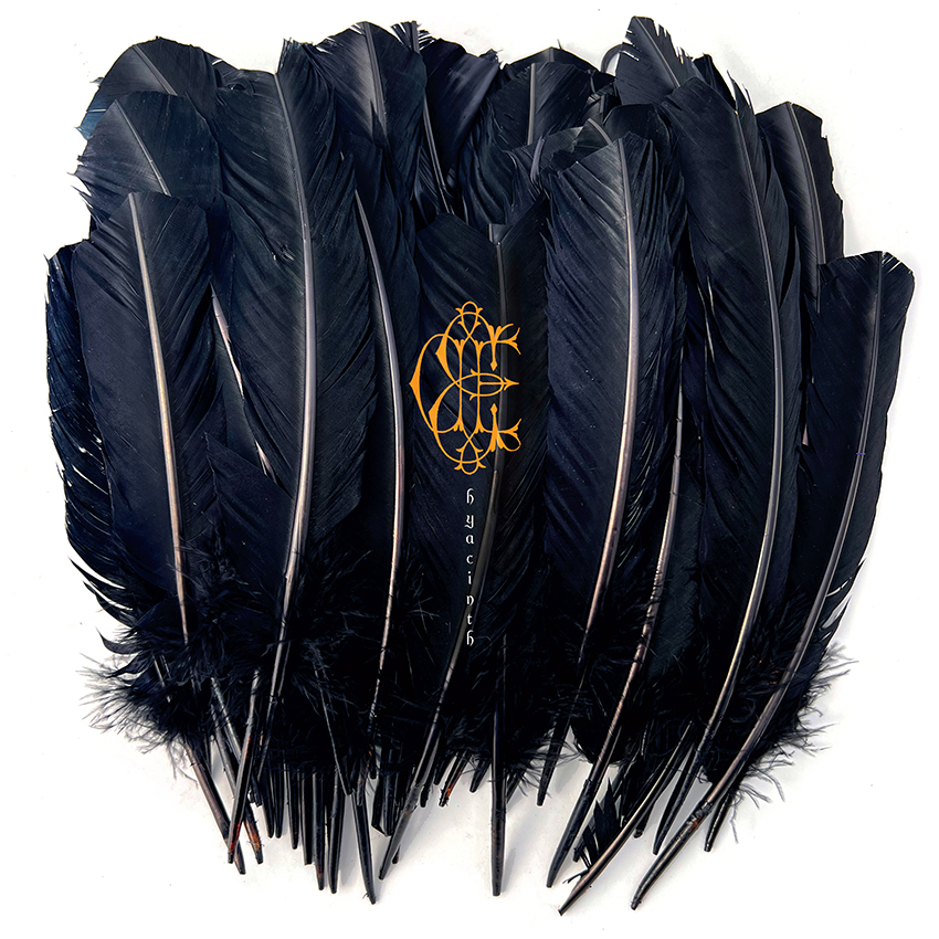 David Eugene Edwards – Hyacinth