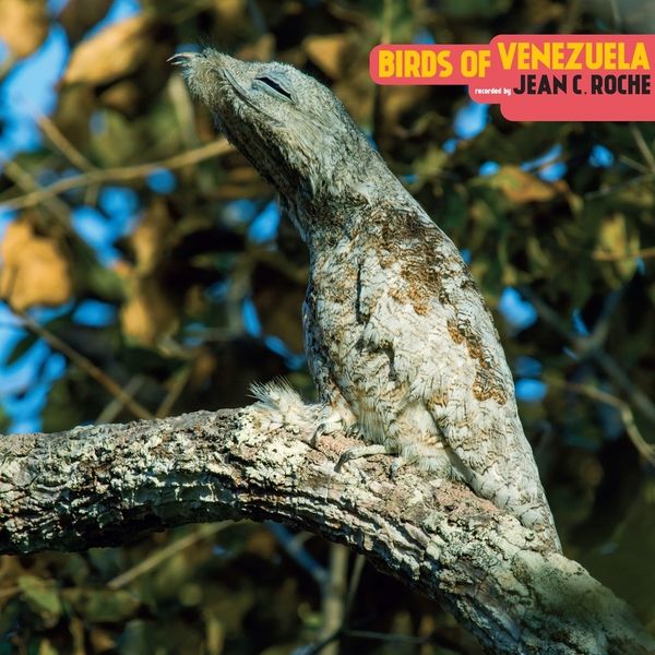 Jean C. Roche – Birds Of Venezuela
