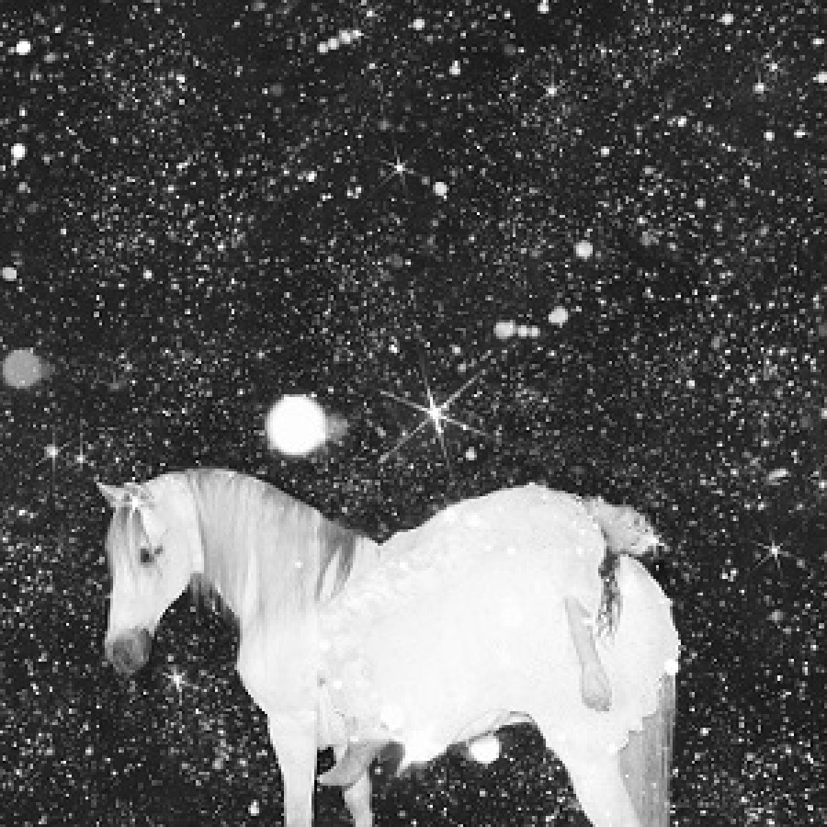 Black Lips – Apocalypse Love