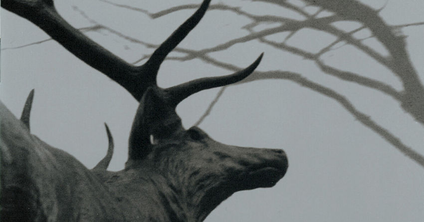 Il gelido e incantato inverno di “The Mantle” degli Agalloch