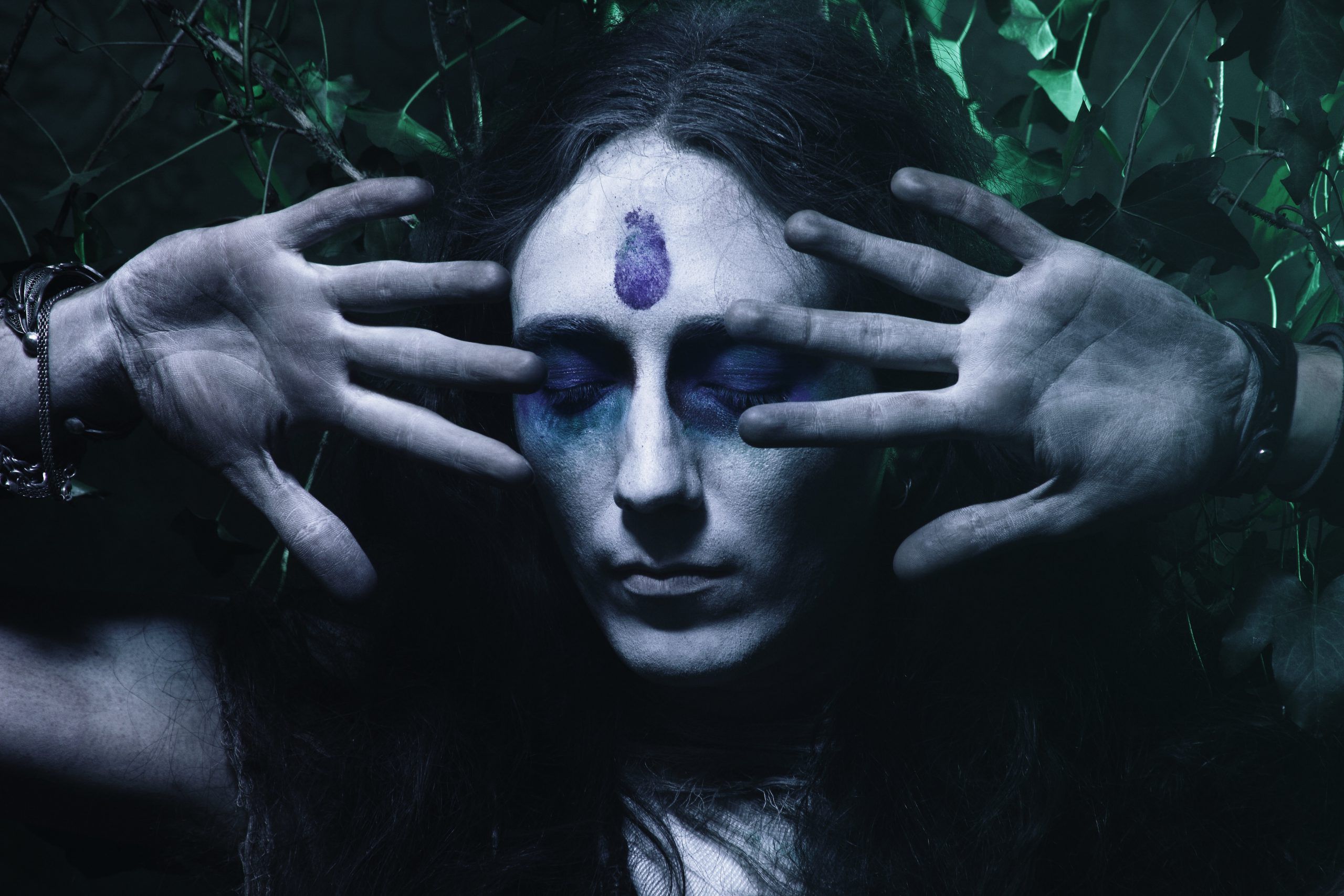 ALCEST: ad aprile la ristampa di “Les Voyages de l’âme”