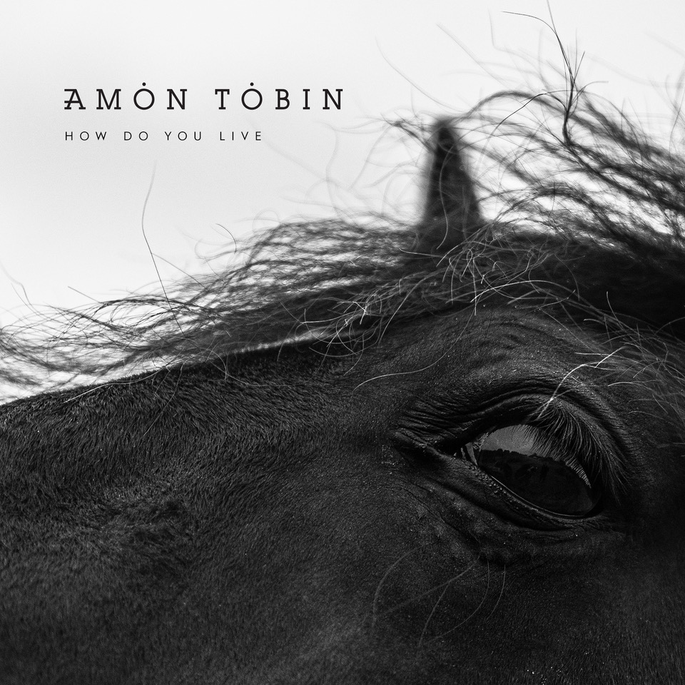 Amon Tobin – How Do You Live
