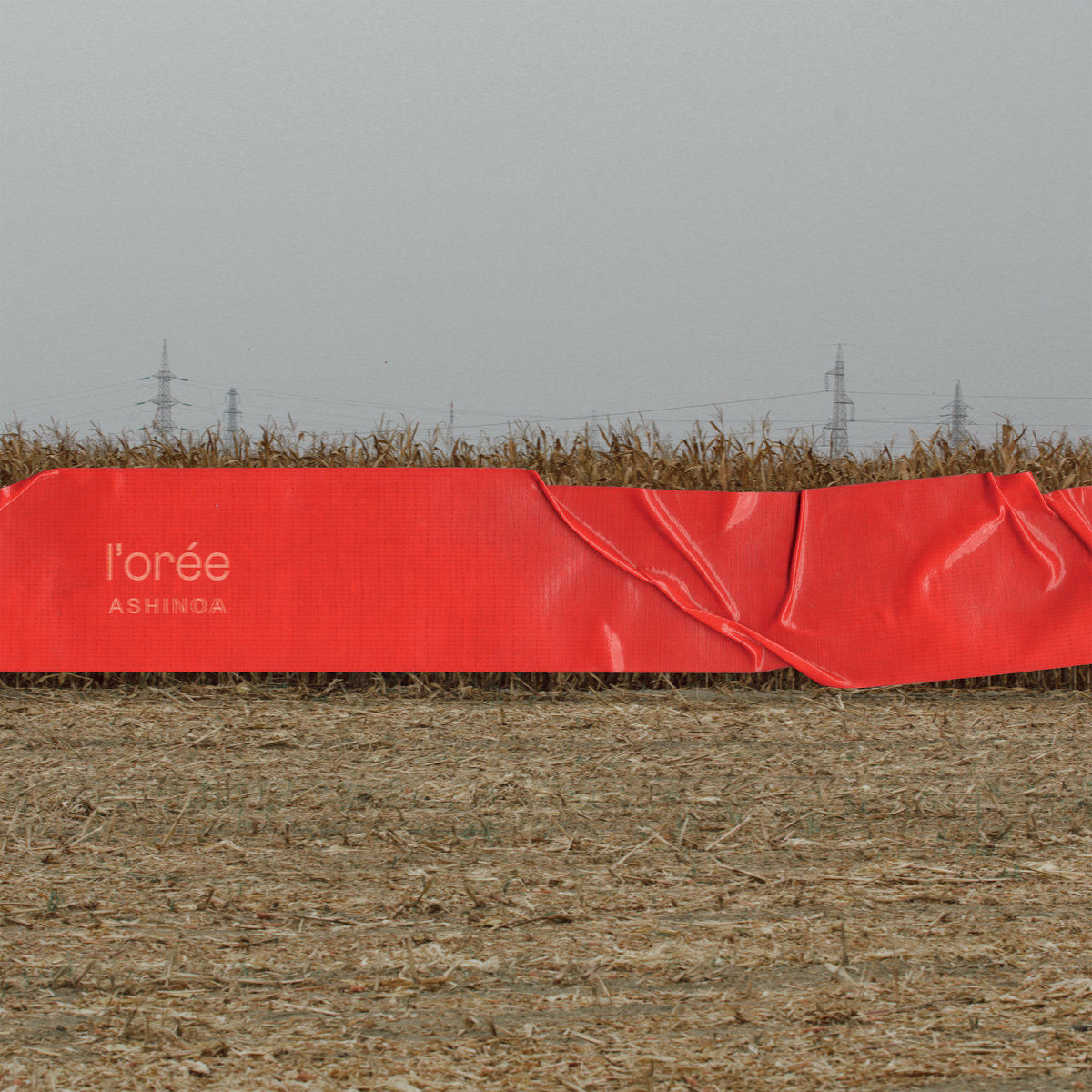 Ashinoa – L’Orée