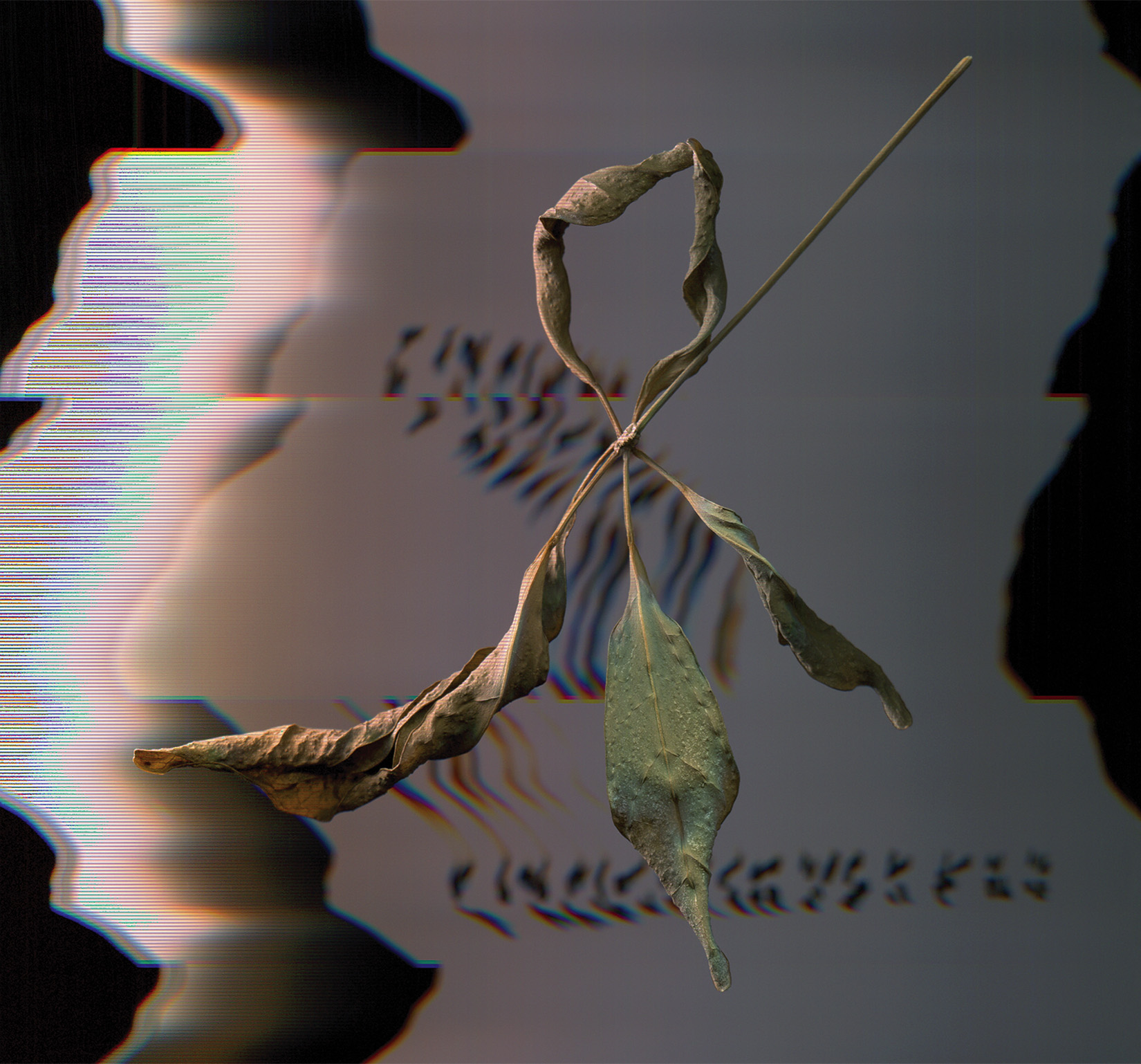 T. Gowdy – Trill Scan