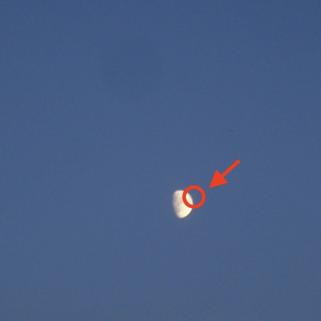 Cleopatrick – Fake Moon