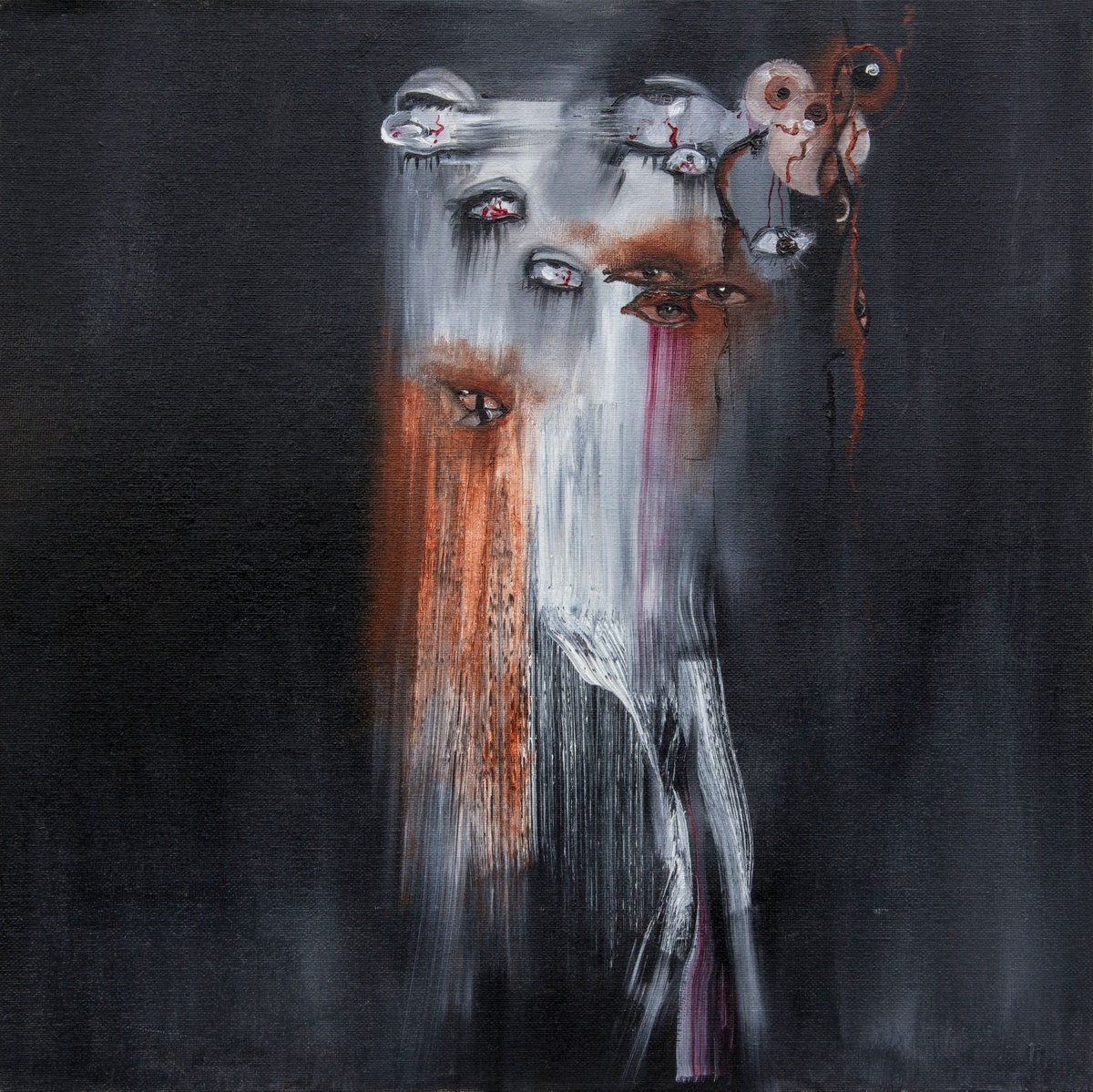 Insect Ark – The Vanishing