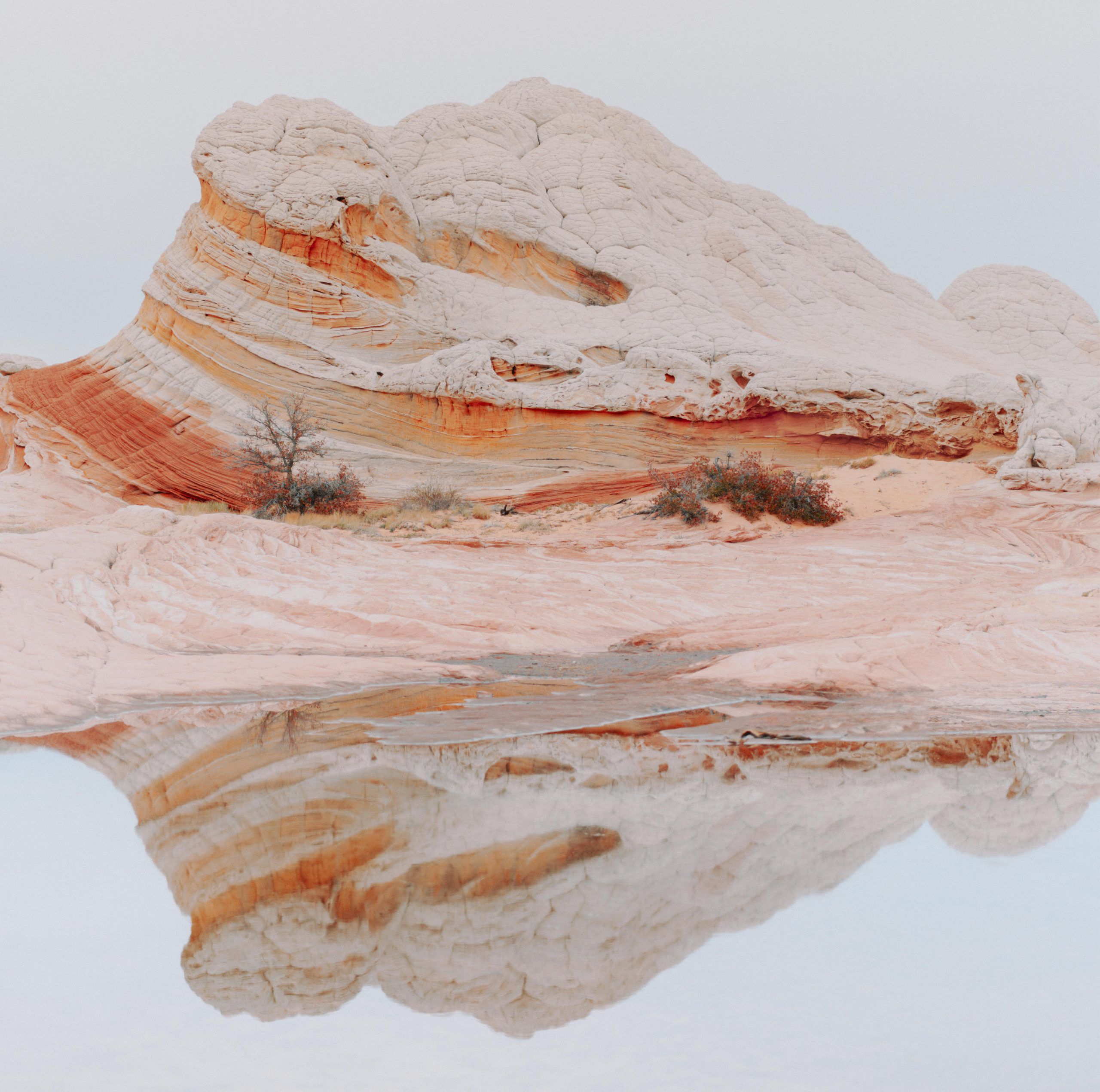 Antonio Raia & Renato Fiorito – Thin Reactions