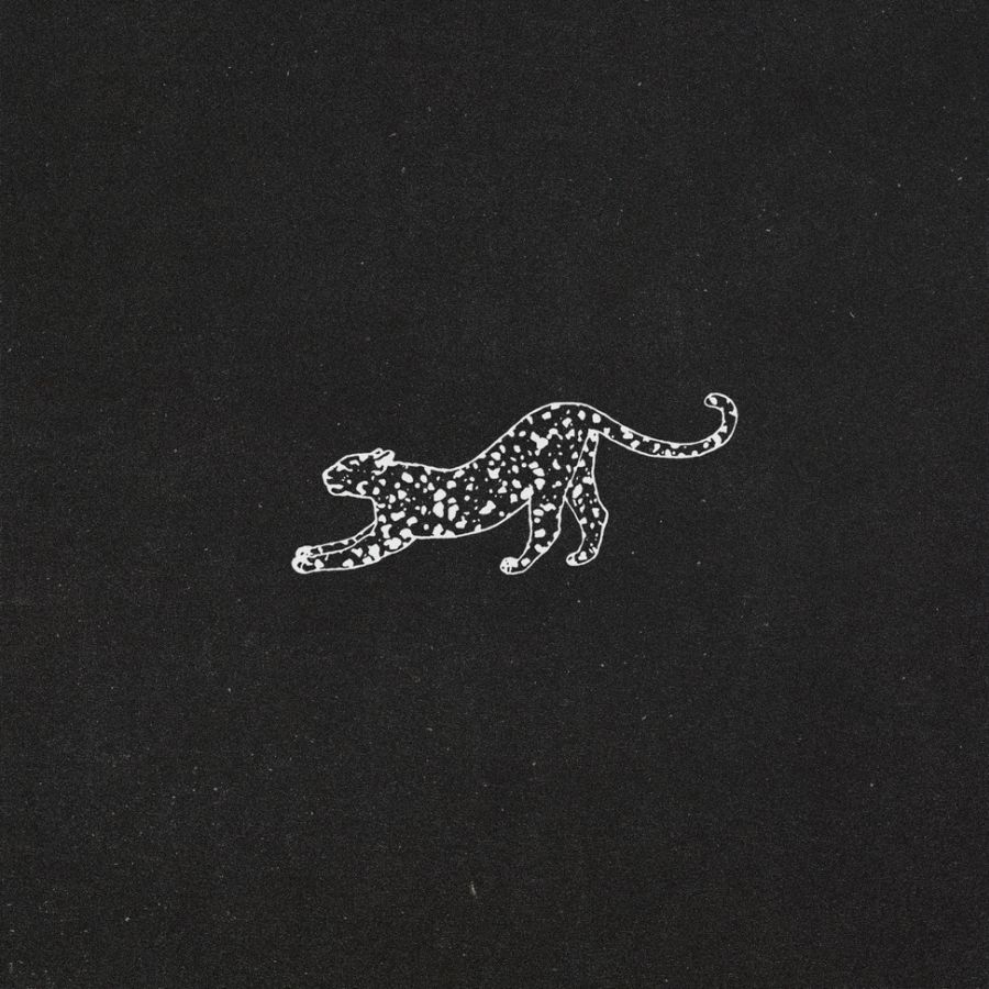 Coca Puma – Panorama Olivia