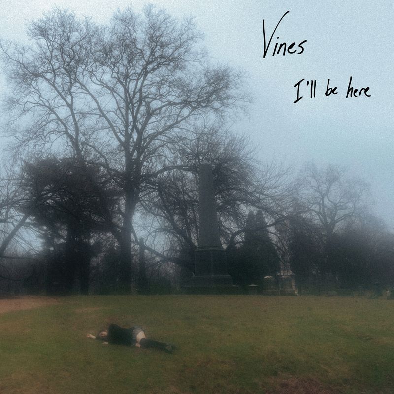 Vines – I’ll be here