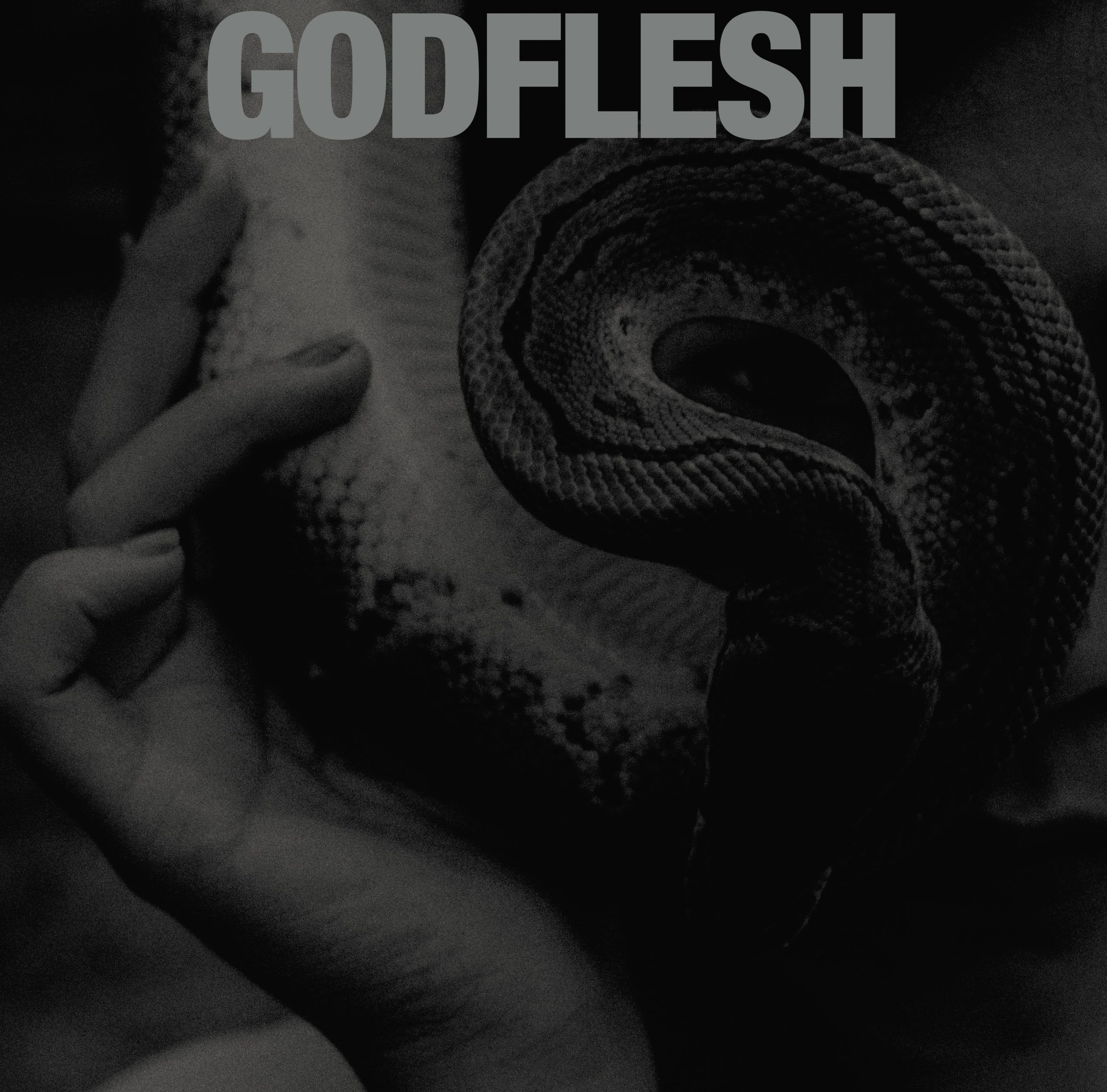 Godflesh – PURGE