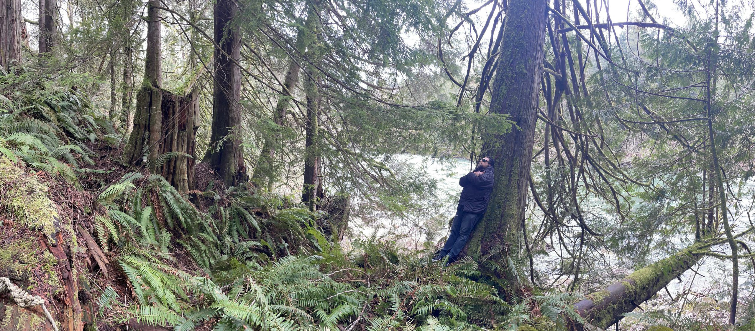 THE LORD (Sunn O))), Goatsnake): annunciato l’album di debutto “Forest Nocturne”