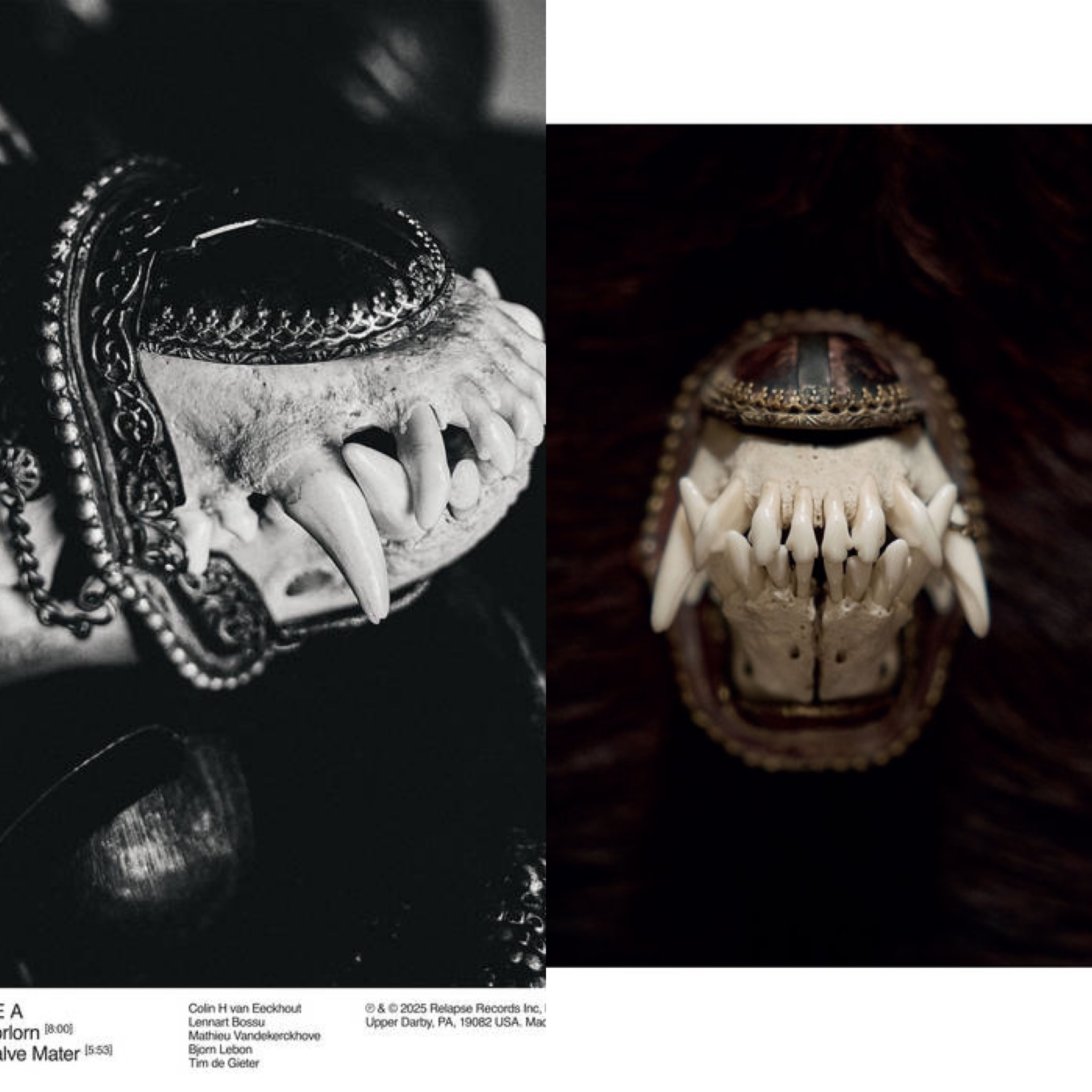 Amenra – With Fang and Claw / De Toorn