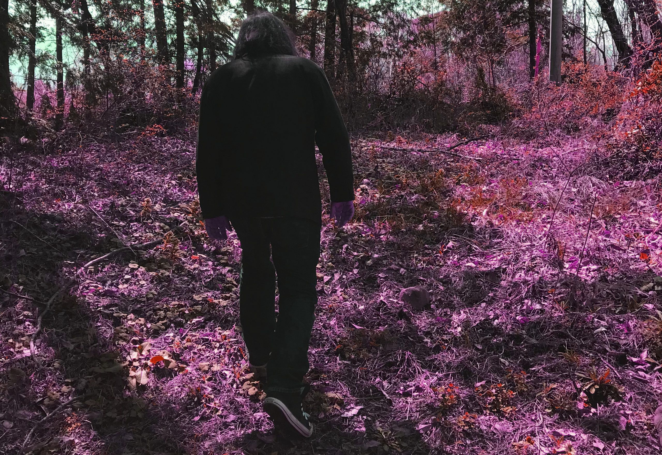 JIM O’ROURKE: a luglio l’album “Hands That Bind (Original Motion Picture Soundtrack)”