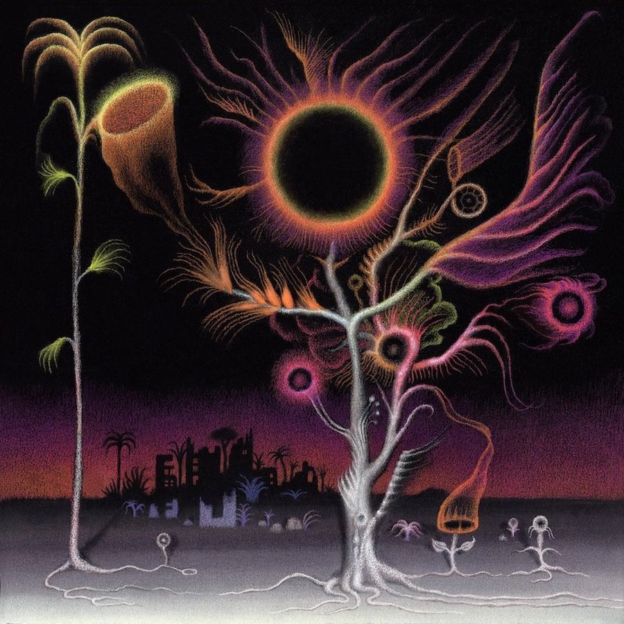 Laura Agnusdei – Flowers Are Blooming in Antarctica