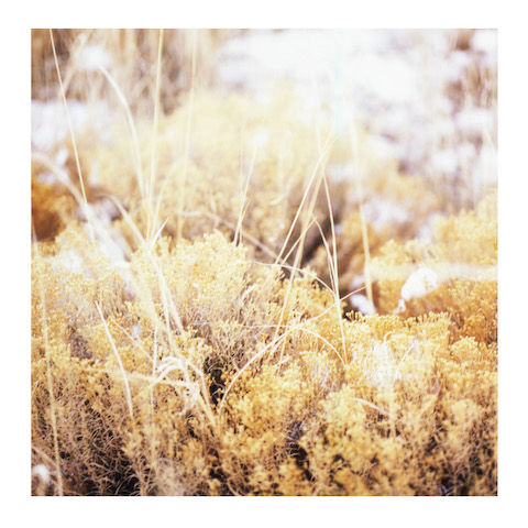 Mamiffer – The Brilliant Tabernacle