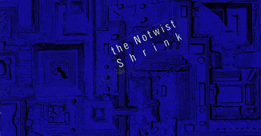 “Shrink”, i venticinque anni del capolavoro minore dei Notwist