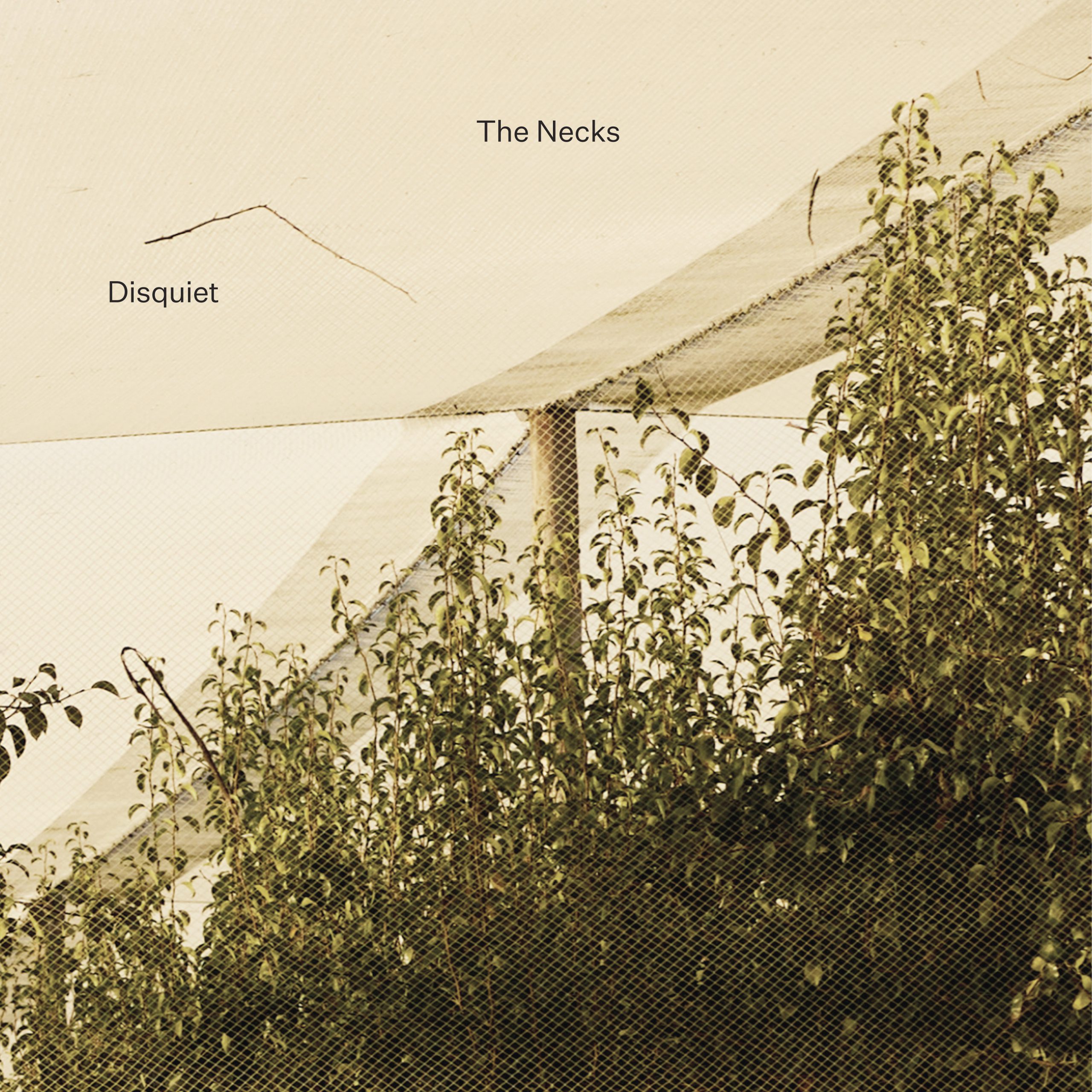 The Necks – Disquiet