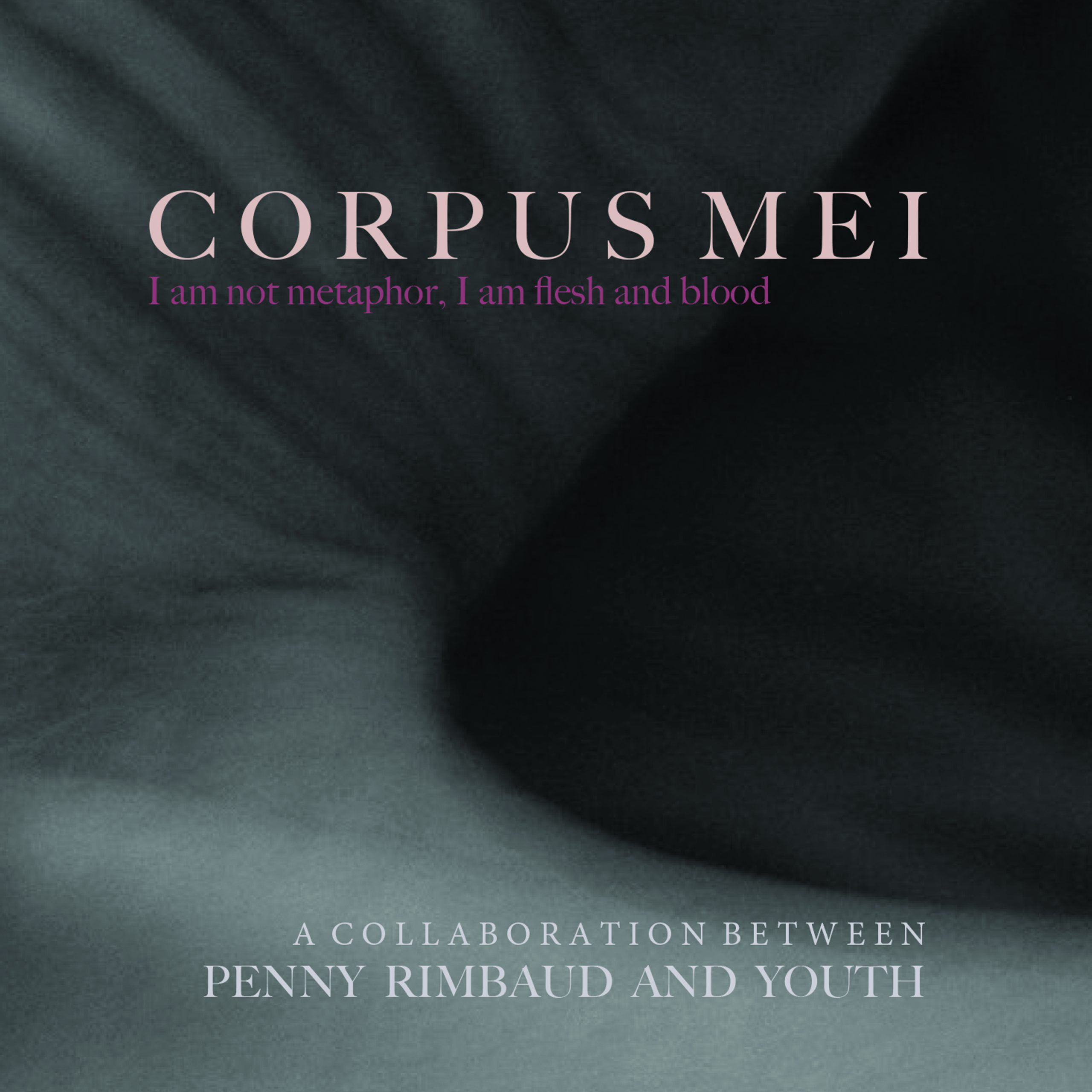 Penny Rimbaud & Youth – Corpus Mei