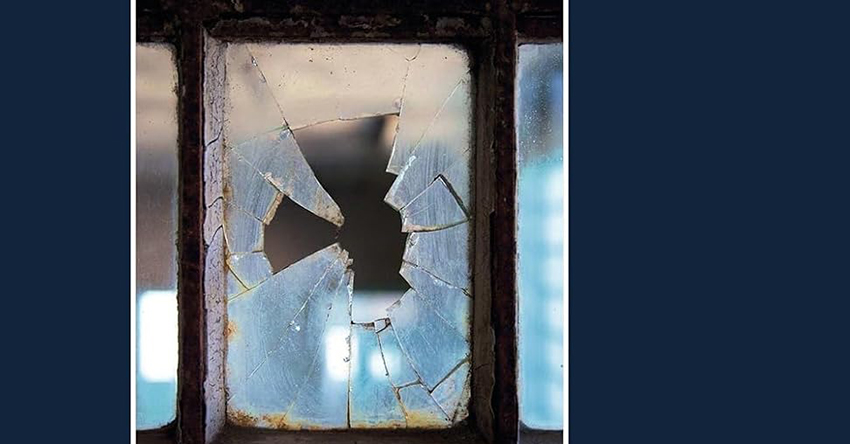 Un mondo solido che si dissolve e poi si riassembla. “Shy”, il nuovo romanzo di Max Porter.