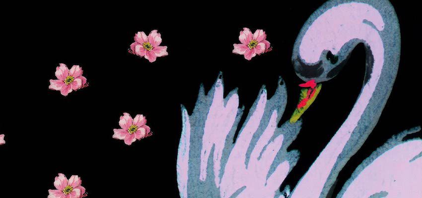 “Stoner Witch” e i Melvins che a cavallo di un cigno radono al suolo le barriere del suono