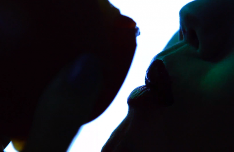 ANIMAL COLLECTIVE: ecco il nuovo video “Applesauce”