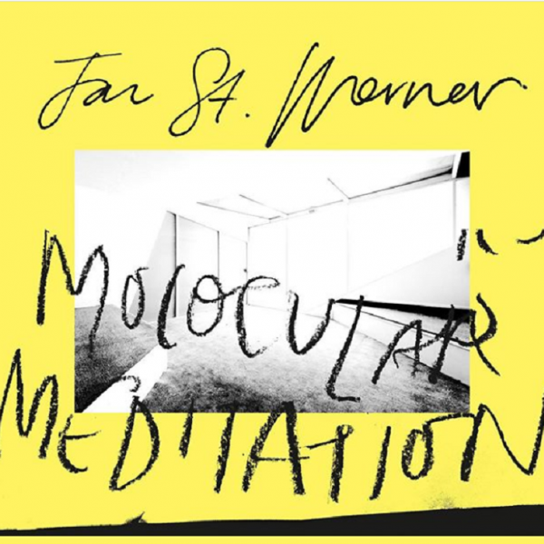 Jan St. Werner – Molocular Meditations