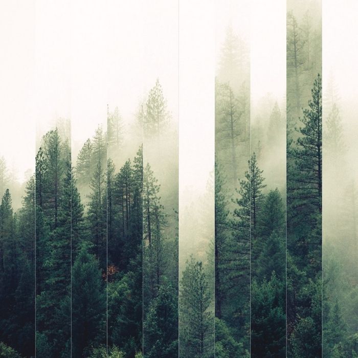 That Witch Is Not – The Basic Sharpness Of Emotions