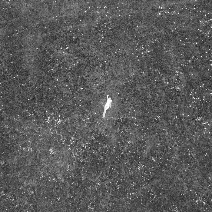 Birds Of Passage – The Last Garden