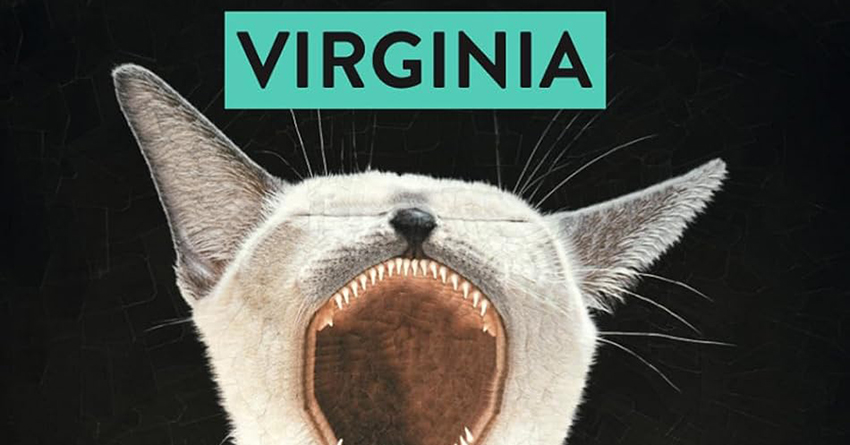 “Virginia” di Enrico Gabrielli, il dipinto di un Paese il cui futuro è già criminogeno passato