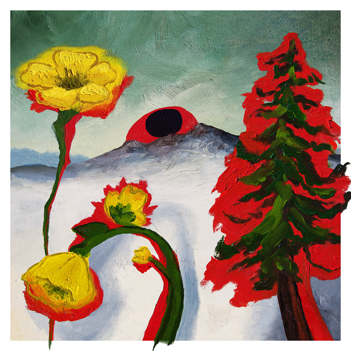 Woods – Strange To Explain