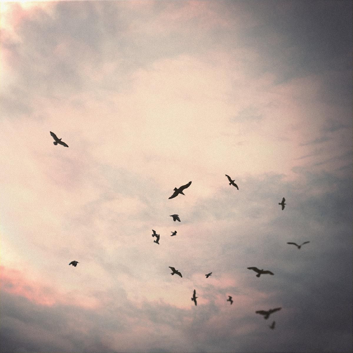 A Good Man Goes To War – The Sounds Of A Large Crowd