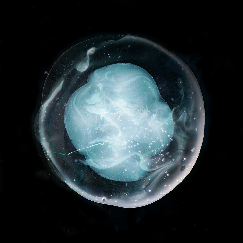 A Winged Victory For The Sullen – The Undivided Five