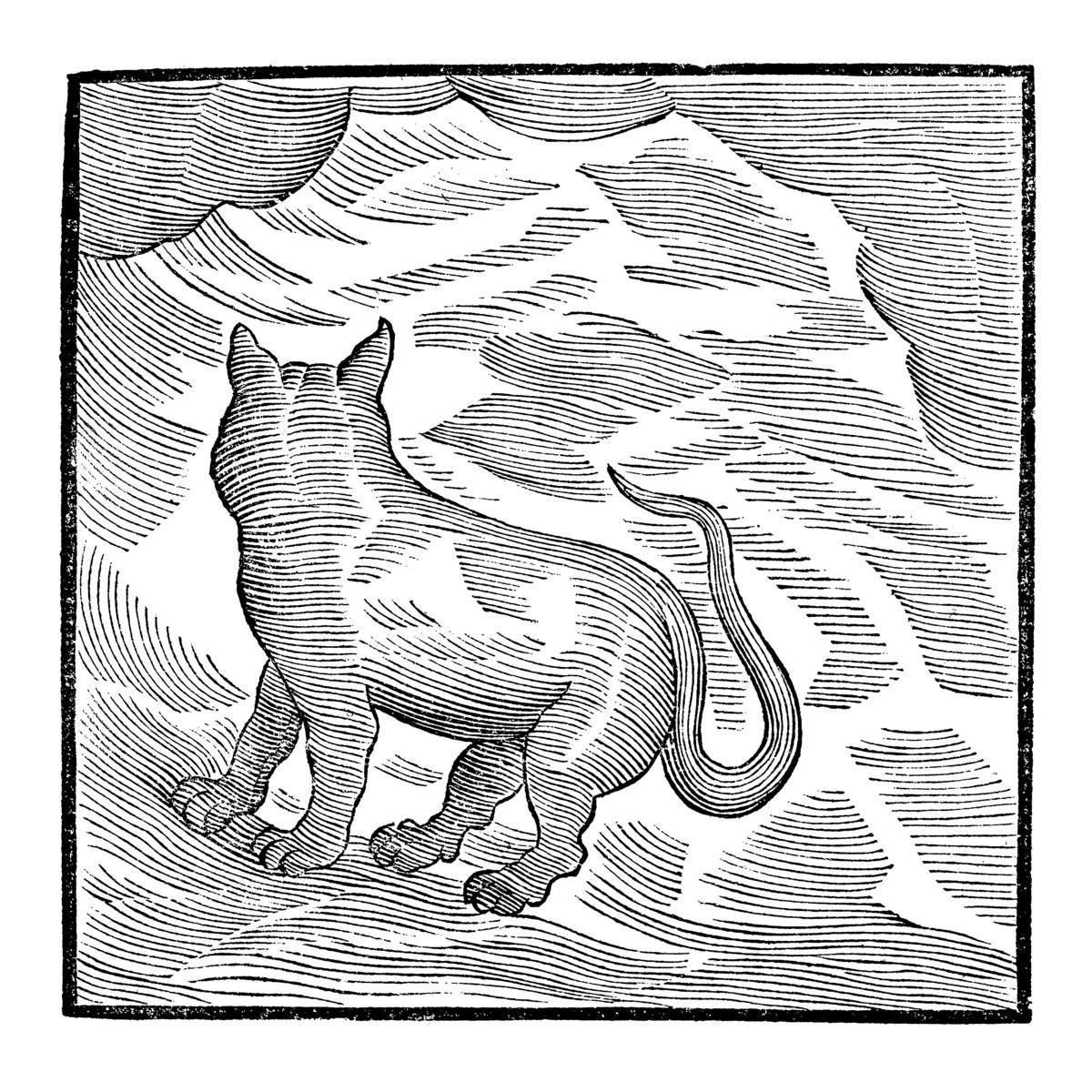 Valentina Magaletti & YPY – Kansai Bruises