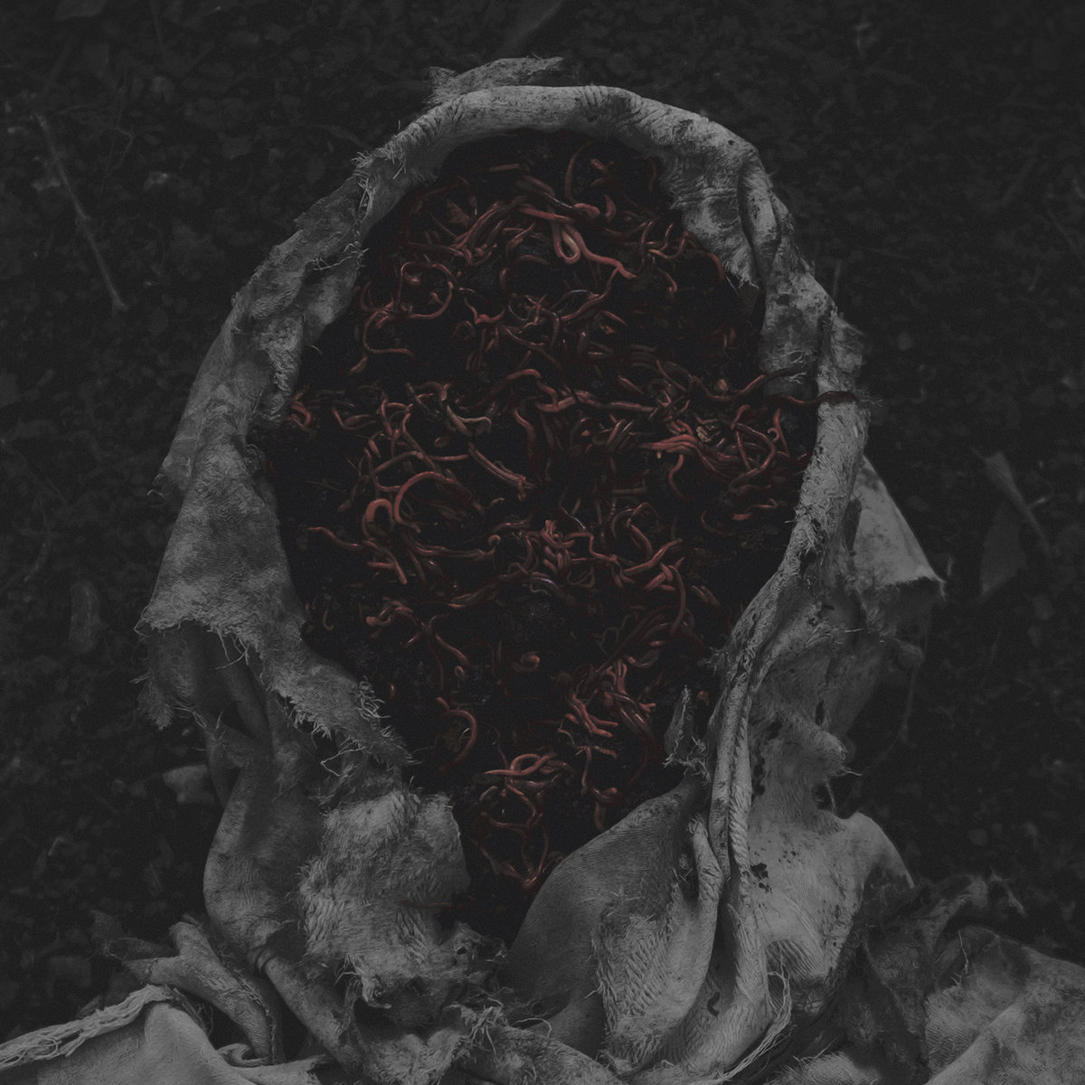 Gorrch – Stillamentum