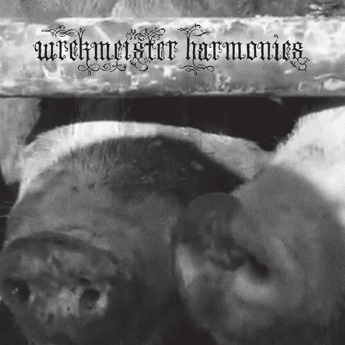 Wrekmeister Harmonies – Flowers in the Spring