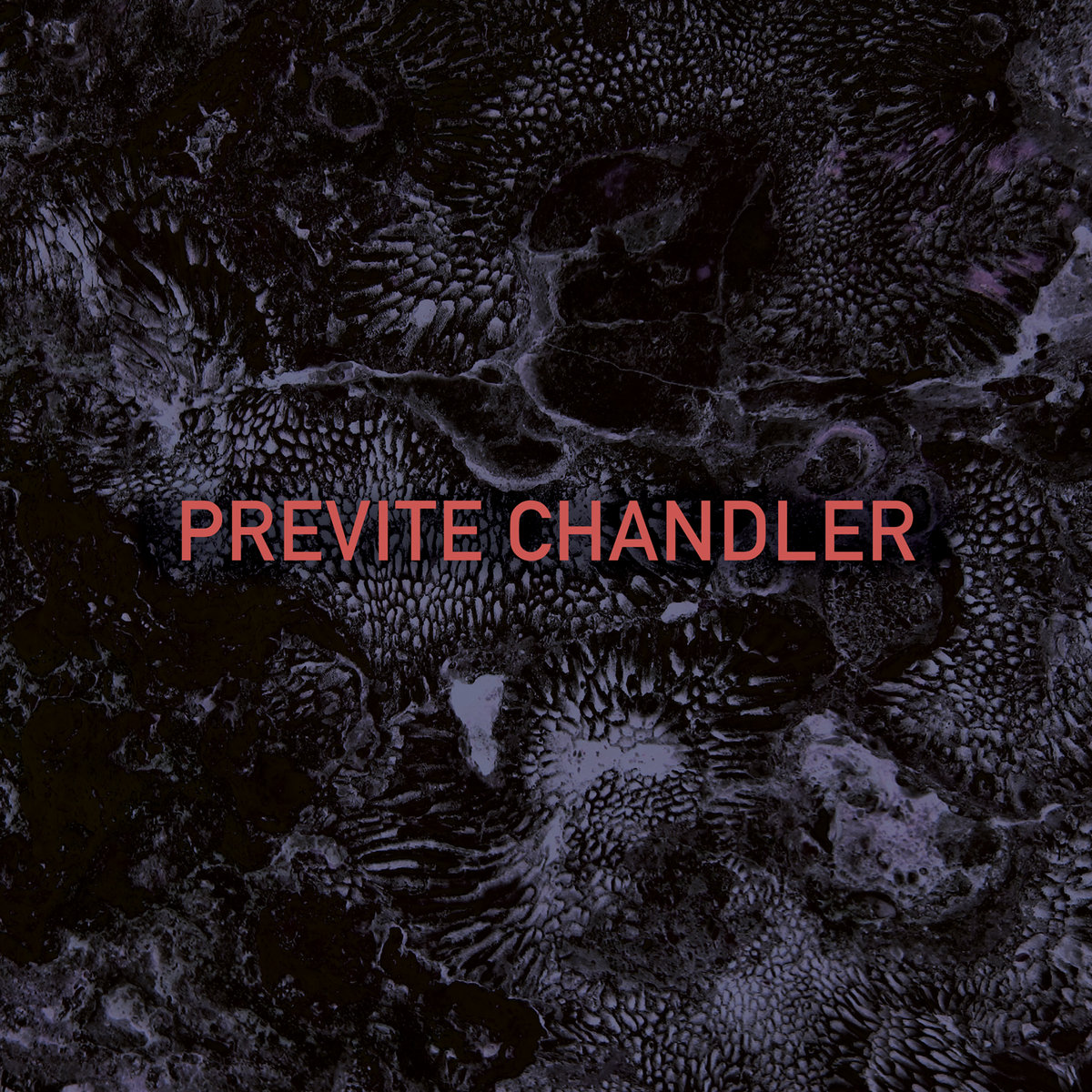 Knox Chandler, Bobby Previte – Previte – Chandler