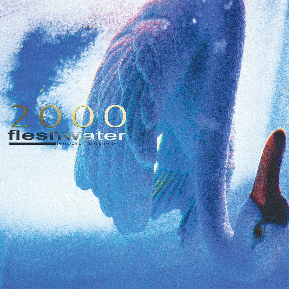 Fleshwater – 2000: In Search of the Endless Sky