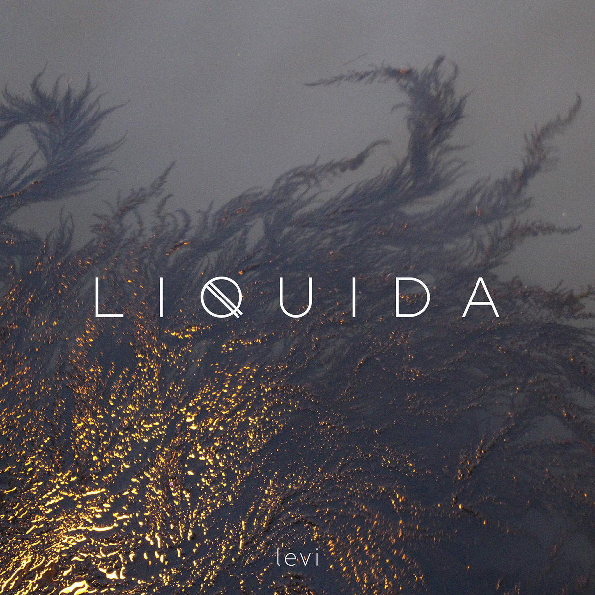 Levi – Liquida