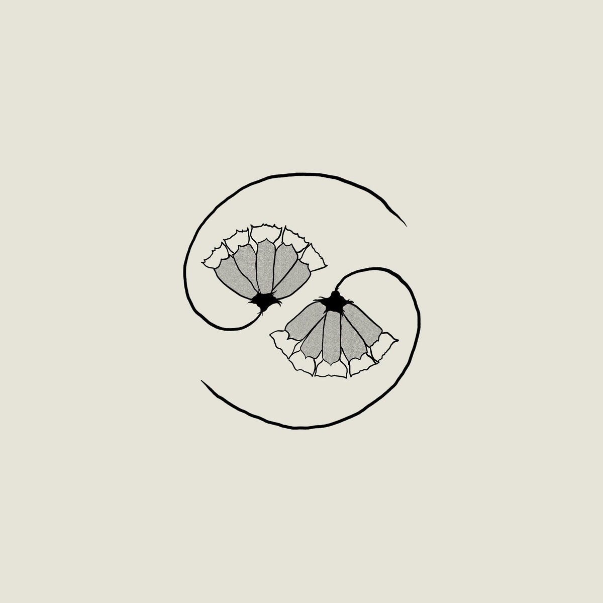 Godspeed You! Black Emperor – G_d’s Pee AT STATE’S END!