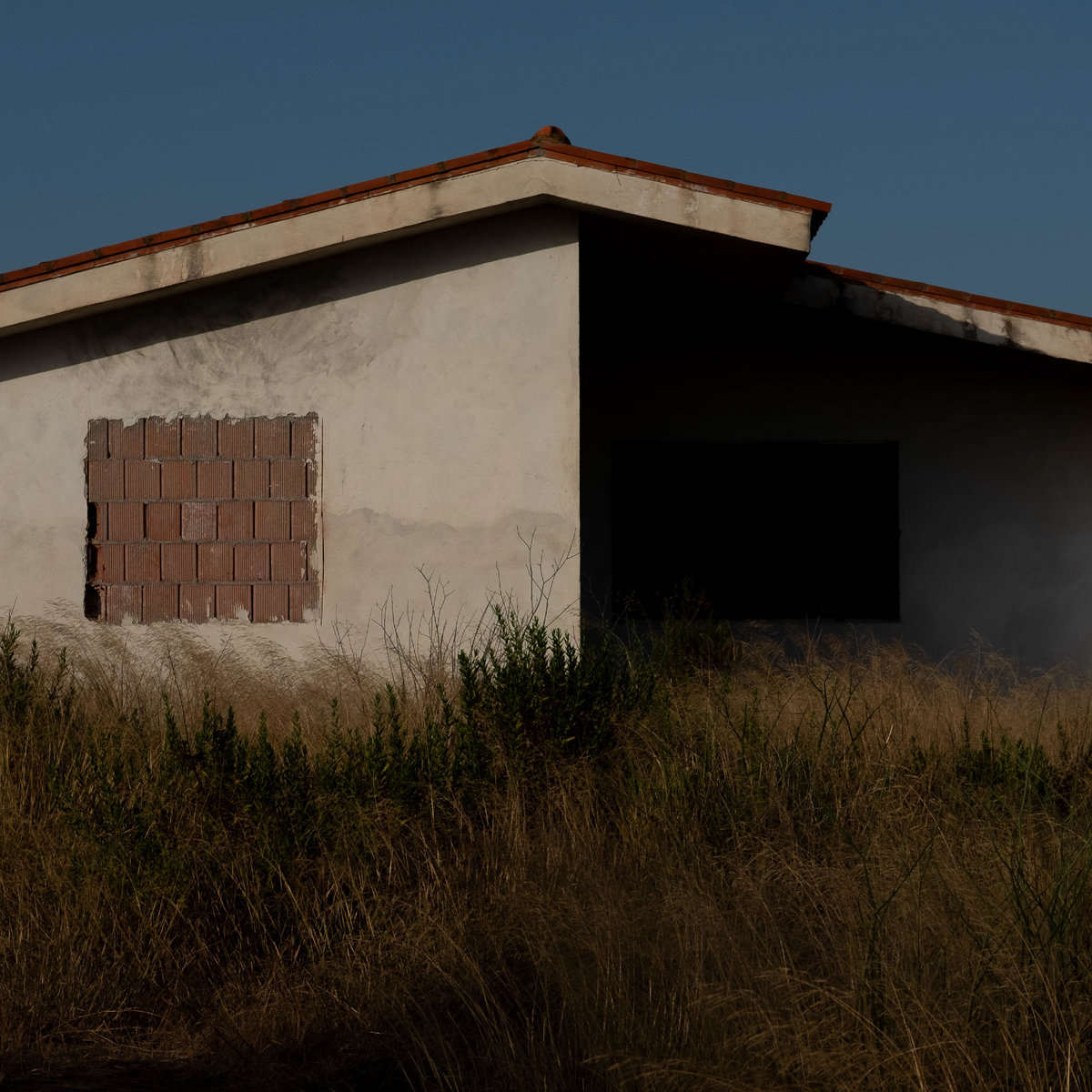 Quercia – Dove si muore davvero