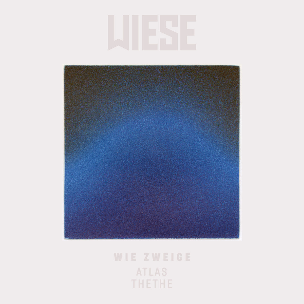 Wiese – Wie Zweige