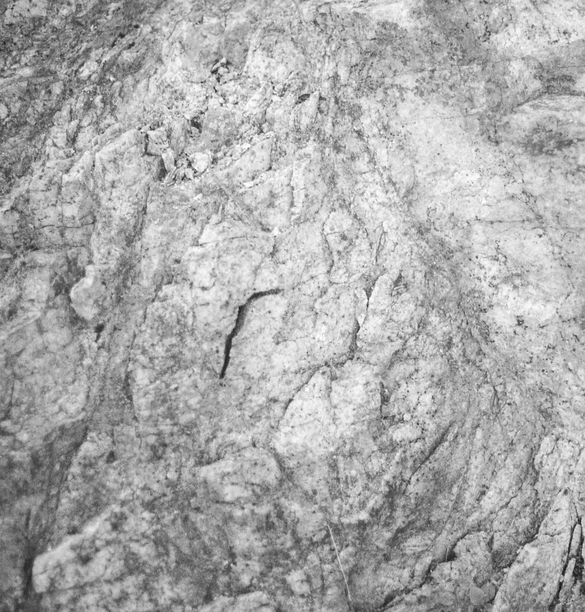 Martino Corrias – Quadri dell’incomprensione