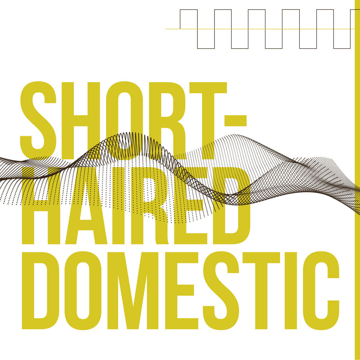 Short Haired Domestic – Short Haired Domestic